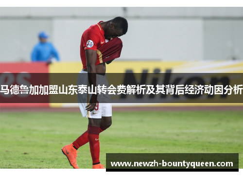 马德鲁加加盟山东泰山转会费解析及其背后经济动因分析