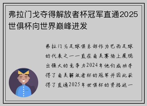 弗拉门戈夺得解放者杯冠军直通2025世俱杯向世界巅峰进发